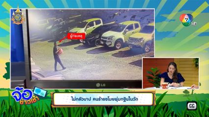 ไม่กลัวบาป คนร้ายขโมยพุ่มกฐินในวัด