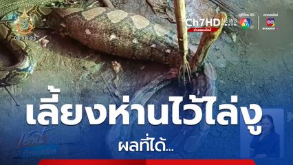 เลี้ยงห่านไว้ไล่งู ผลที่ได้...