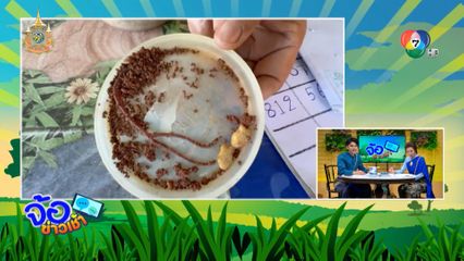 เพิ่งเคยเห็น ไส้เดือน 2 หาง นำโชค จ.เชียงราย