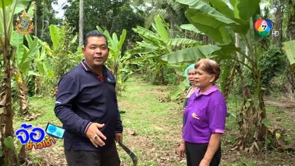 กล้วยเล็บมือนาง จิ๋วแต่แจ๋ว