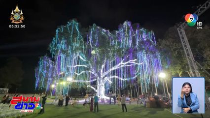 มนต์เสน่ห์เชียงใหม่ เมืองดอกไม้งาม