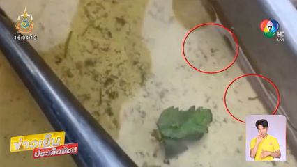 อวสานหมูกระทะ ! เจอ ลูกน้ำ ในน้ำซุป 