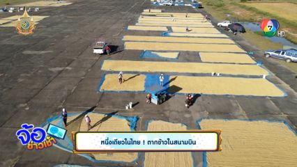 หนึ่งเดียวในไทย! ตากข้าวในสนามบิน