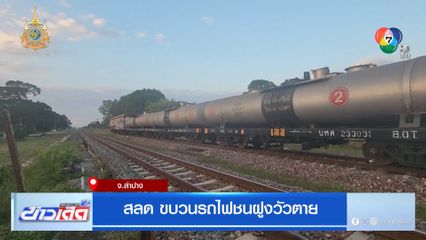 สลด ขบวนรถไฟชนฝูงวัวตาย