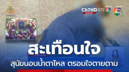 บีบหัวใจ สุนัขตรอมใจตาย ตามเจ้าของ