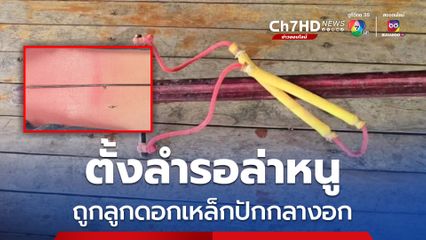 หนุ่มปรับหน้าไม้ตั้งลำปืนรอล่าหนูนา ปืนล้มลูกดอกเหล็กปักกลางอก