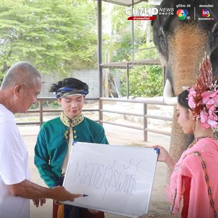 สวนนงนุชพัทยาจัดพิธีรับขวัญ พลายสุรพันธ์ ลูกช้างเชือกที่ 27 
