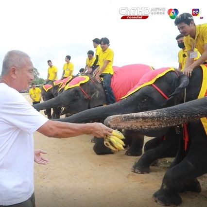 สวนนงนุชพัทยาจัดพิธีรับขวัญ พลายสุรพันธ์ ลูกช้างเชือกที่ 27 