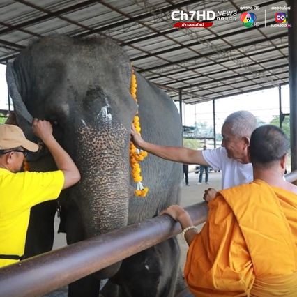 สวนนงนุชพัทยาจัดพิธีรับขวัญ พลายสุรพันธ์ ลูกช้างเชือกที่ 27 