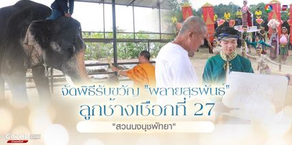 สวนนงนุชพัทยาจัดพิธีรับขวัญ พลายสุรพันธ์ ลูกช้างเชือกที่ 27 
