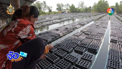 ลุยฟาร์มปูนิ่ม จ.จันทบุรี