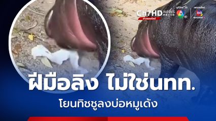 ผอ.แจงแล้ว ! ฝีมือลิง ไม่ใช่นทท. โยนทิชชูลงบ่อหมูเด้ง