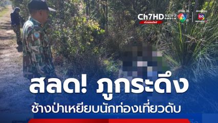 สลด ช้างป่าเหยียบนักท่องเที่ยวเสียชีวิตบนภูกระดึง