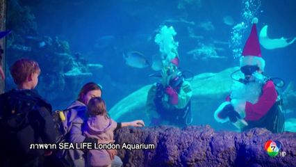 ซานตาคลอส ดำน้ำทักทายเด็ก ๆ ในพิพิธภัณฑ์สัตว์น้ำอังกฤษ