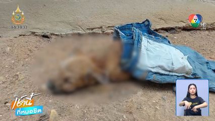 ปศุสัตว์ฯ ยันสุนัขตาย ไม่ได้ติดเชื้อ โควิด-19