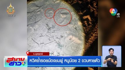 หวิดซ้ำรอยน้องชมพู่ หนูน้อย 2 ขวบ หายตัว