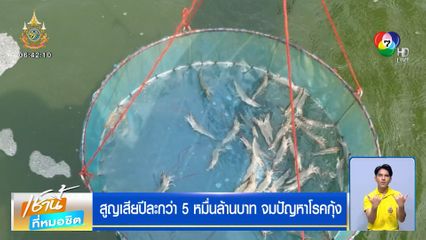 สูญเสียปีละกว่า 5 หมื่นล้านบาท จมปัญหาโรคกุ้ง วอนรัฐบาลเหลียวแล