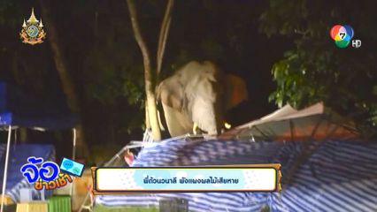 พี่ด้วนวนาลี พังแผงผลไม้เสียหาย