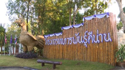 สมเด็จพระกนิษฐาธิราชเจ้า กรมสมเด็จพระเทพรัตนราชสุดา ฯ สยามบรมราชกุมารี ทรงปฏิบัติพระราชกรณียกิจ ดังนี้