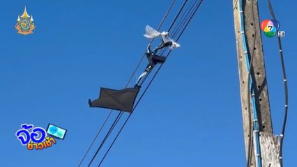 เด็กอายุ 7 ขวบเล่นว่าว ถูกรถชนตาย