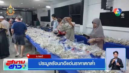 ประมูลรังนกอีแอ่นราคาตกต่ำ