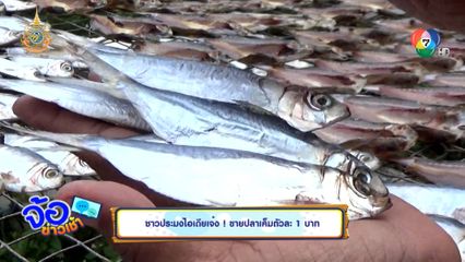 ชาวประมงไอเดียเจ๋ง ! ขายปลาเค็มตัวละ 1 บาท