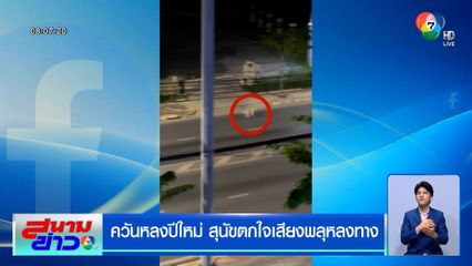 ควันหลงปีใหม่ สุนัขตกใจเสียงพลุหลงทาง