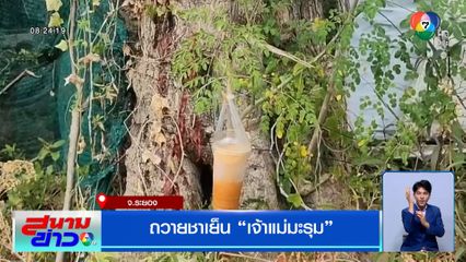 ถวายชาเย็น "เจ้าแม่มะรุม" หาเลขเด็ดเสี่ยงโชค