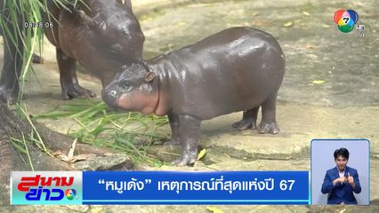 หมูเด้ง เหตุการณ์ที่สุดแห่งปี 67
