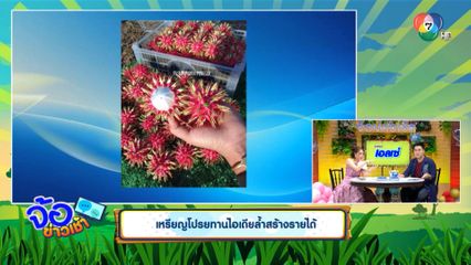 เหรียญโปรยทานไอเดียล้ำสร้างรายได้