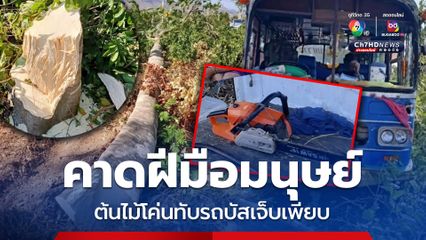 ระทึก! ต้นไม้โค่นทับรถบัสโดยสาร บาดเจ็บ 9 คาดฝีมือมนุษย์ลอบตัดไปขาย