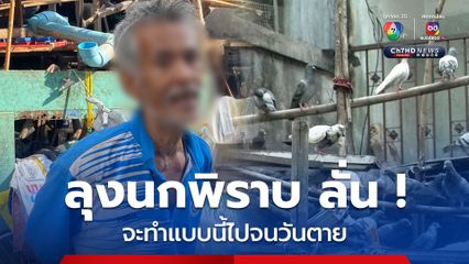 ลุงนกพิราบลั่น ! จะให้อาหารไปจนวันตาย เพราะเป็นการปฏิบัติธรรม