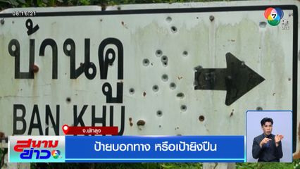 ป้ายบอกทาง หรือเป้ายิงปืน