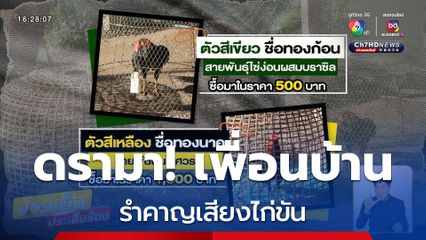 ดรามา! เพื่อนบ้านรำคาญเสียงไก่ขัน