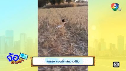 ลมแรง หอบเด็กเล่นว่าวปลิว