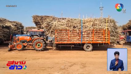 ชาวไร่เฮ! โรงงานเปิดหีบรับซื้ออ้อยไฟไหม้ ตกค้าง