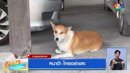 หมาข้า ใครอย่าแตะ