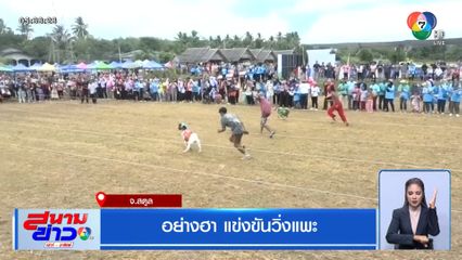 อย่างฮา แข่งขันวิ่งแพะ