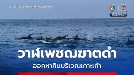 เจ้าหน้าที่ประจำหน่วยพิทักษ์ที่ สล.2 (เกาะสิมิลัน) พบวาฬเพชฌฆาตดำ ประมาณ 100 ตัว
