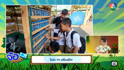 โควิด-19 เปลี่ยนชีวิต ขับรถเร่ขาย ปลากัด รายได้สุดปัง
