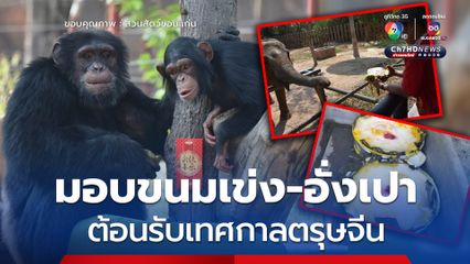 สวนสัตว์ขอนแก่น มอบขนมเข่ง-อั่งเปา ให้สัตว์  เพื่อเป็นสิริมงคลต้อนรับเทศกาลตรุษจีน