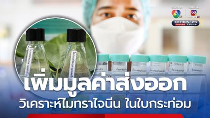 ไมทราไจนีนในใบกระท่อม กรมวิทย์ฯยกระดับมาตรฐานตรวจ