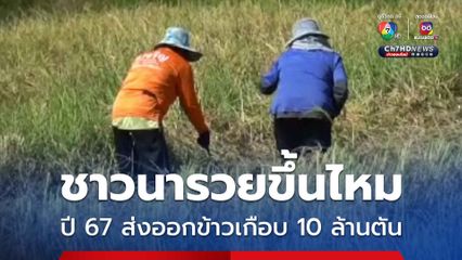 ปี 67 ข้าวไทย ส่งออกพุ่งเกือบ 10 ล้านตัน หลังอินเดียระงับการส่งออกข้าวขาว
