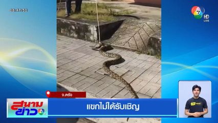 แขกไม่ได้รับเชิญ จ.ตรัง