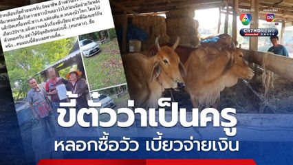 ผู้ใหญ่บ้านพาหนุ่มอ้างเป็นครูหลอกซื้อวัวชาวบ้านเบี้ยวจ่ายเงิน