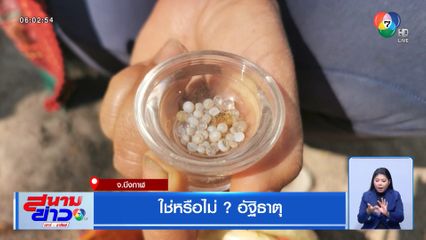 ใช่หรือไม่ ? อัฐิธาตุ