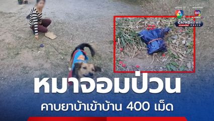 สองผัวเมีย ผงะ กลับบ้านเจอหมาจอมป่วน คาบยาบ้าเข้าบ้าน 400 เม็ด