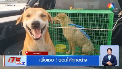 เพื่อเธอ! ยอมได้ทุกอย่าง