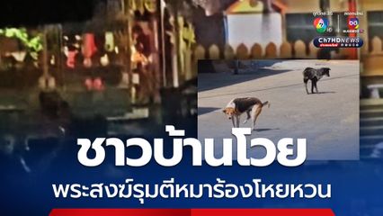 ชาวบ้านโวย พบพระสงฆ์ถือไม้ตีหมาจนร้องโหยหวน