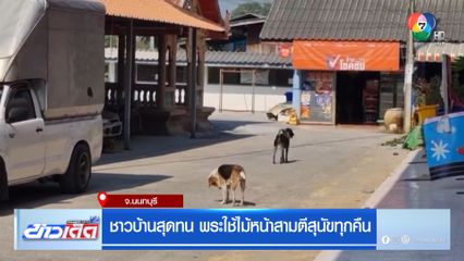 ชาวบ้านสุดทน พระใช้ไม้หน้าสามตีสุนัขทุกคืน